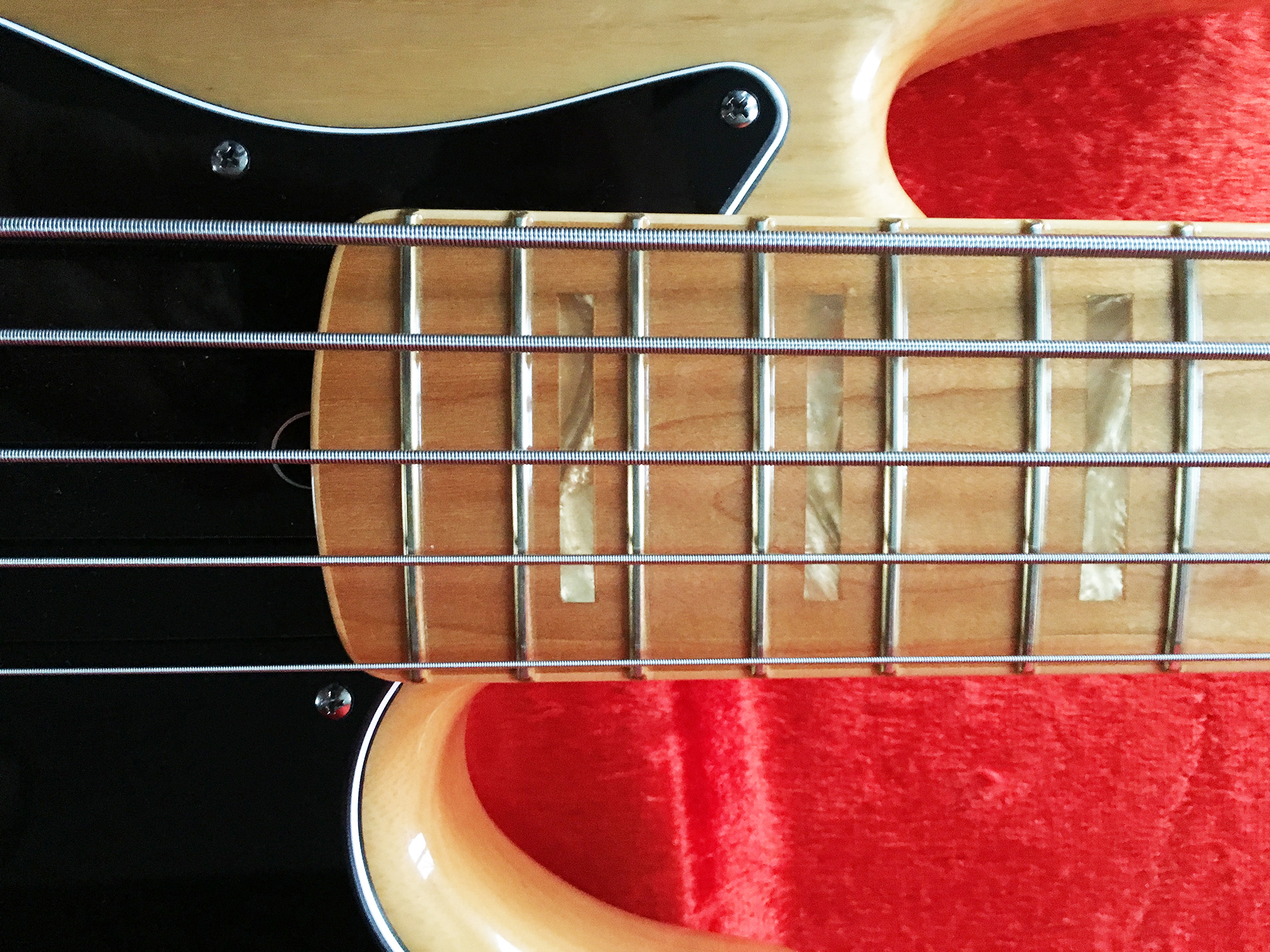 20160403_Fender_MM5_USA_5.jpg