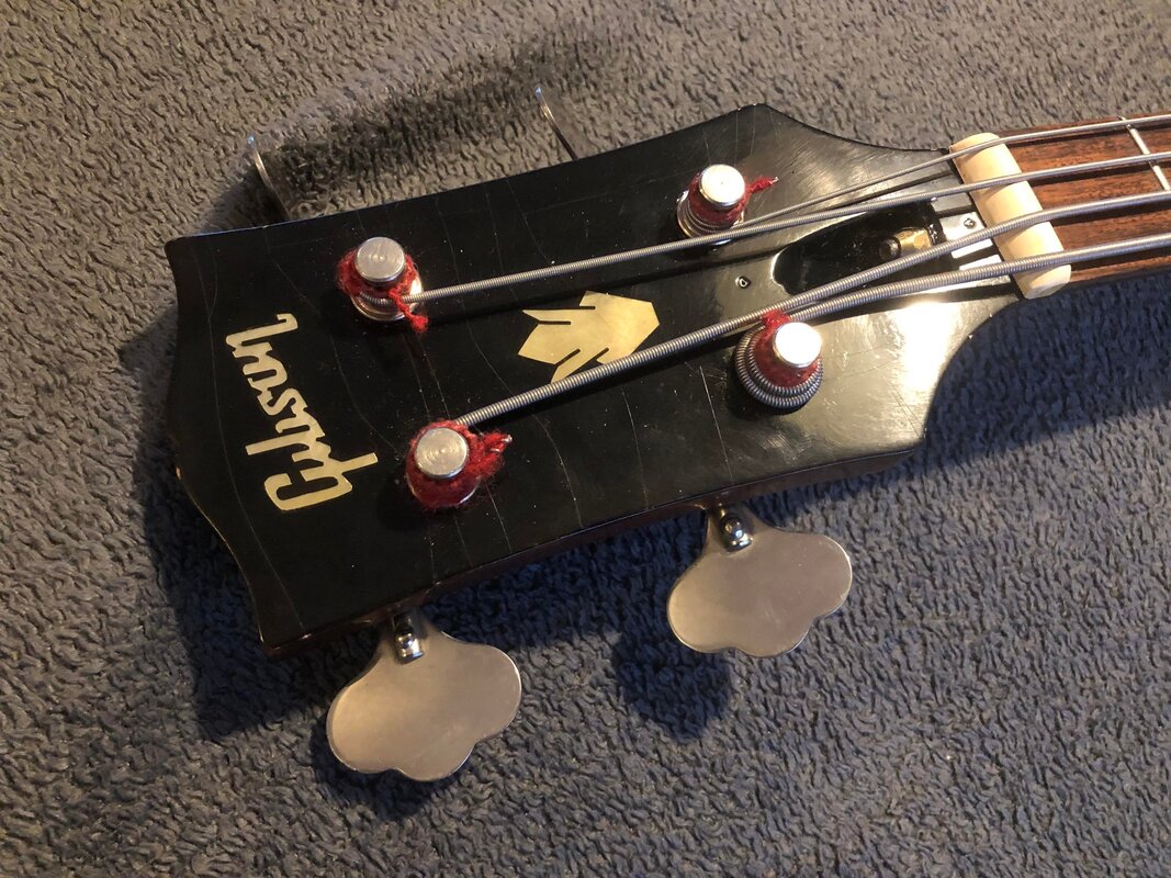 lp-proto-stringed_orig.jpeg
