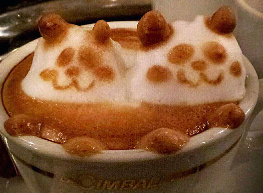 cappuccino-schaum-3d.jpg