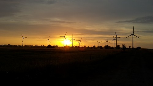 f16t187p1031n2_ZUCfRBHe.jpg
