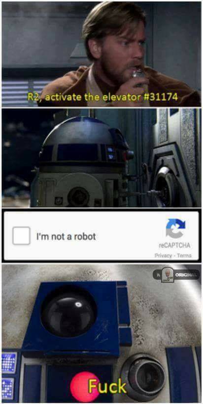 czfkq9j4imby.jpg