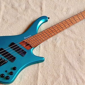 www.talkbass.com