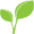www.pflanzen-vielfalt.net
