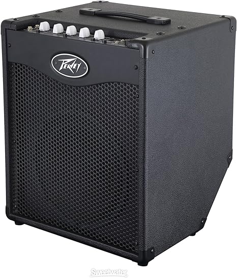 Peavey MAX 112 Bass Combo: Amazon.de: Musikinstrumente