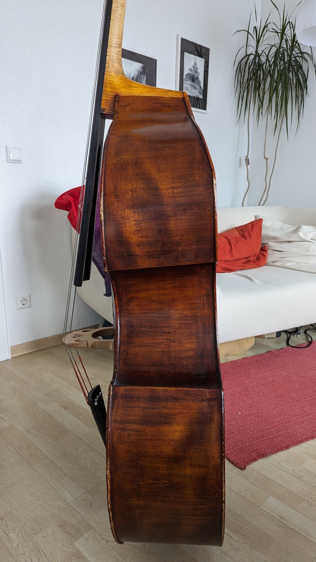 67351--katalog--12--4-Saiter-Kontrabass--_--629--1119.jpg