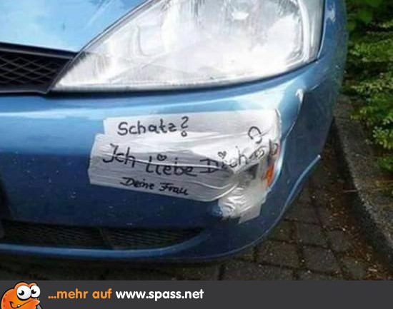 schatz-550x393.jpg