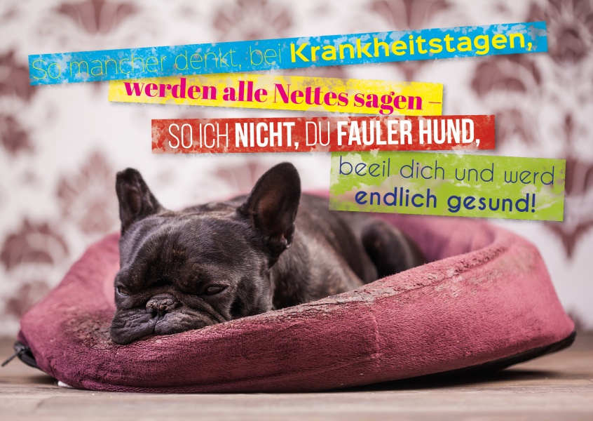 hund-wuenscht-gute-besserung-postkartenmotiv-4209_82.jpg