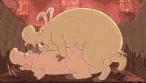animiertes-schwein-bild-0054