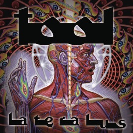 Tool_-_Lateralus.jpg