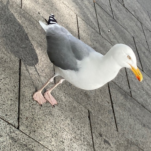 on.soundcloud.com