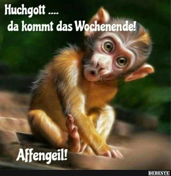 Huchgott... da kommt das Wochenende! | Wochenende lustig, Lustige bilder,  Guten morgen lustig