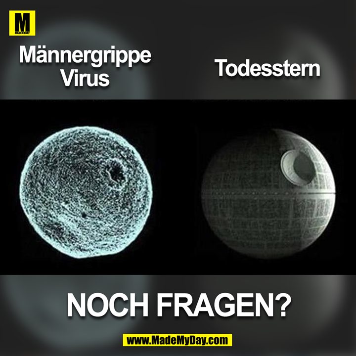 Bildergebnis für männergrippe lustig