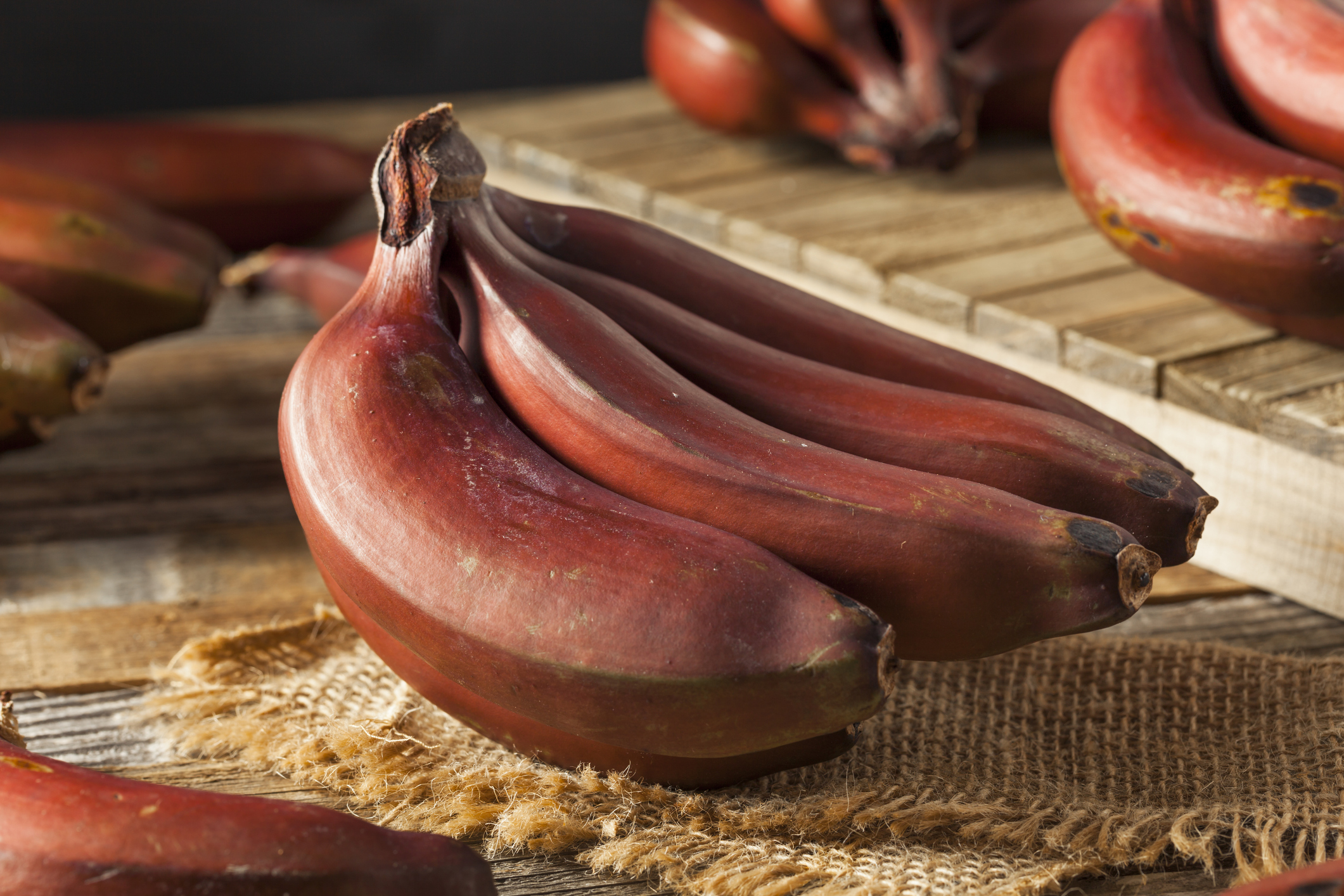 rote-banane-wissen-und-zubereitung.jpg