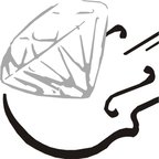 www.diastrad-geigenbau.com