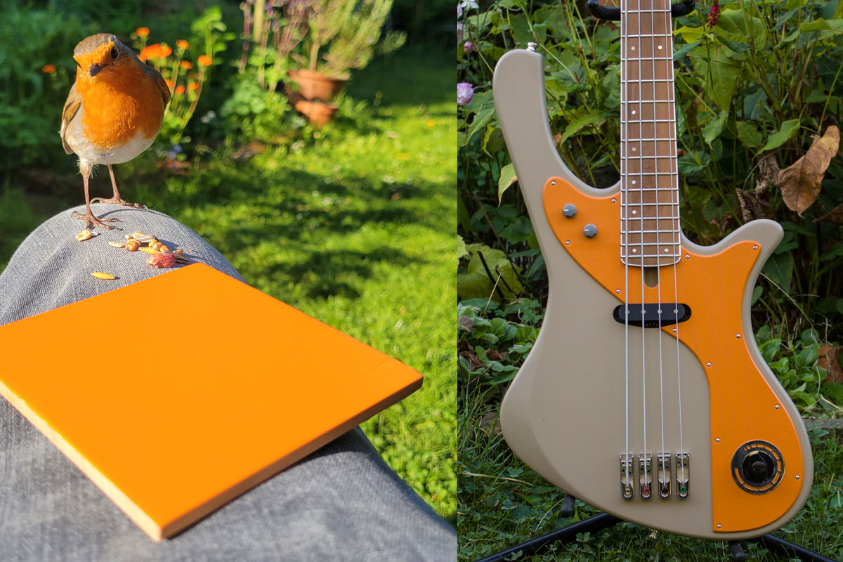 BassLine_rebelle_series_robin_web.jpg