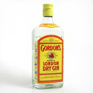 1273090626_top-10-gins_10.jpg