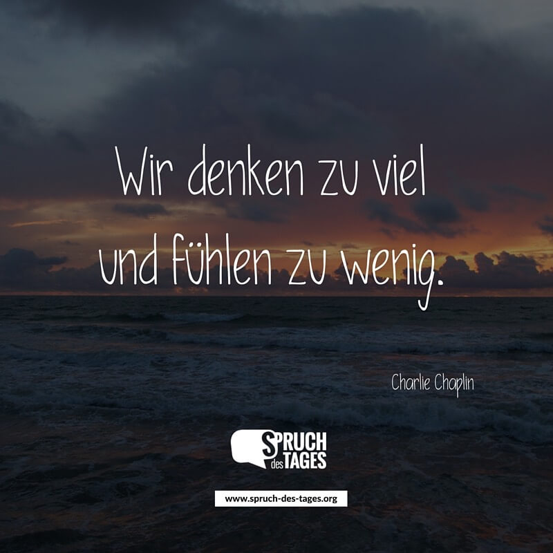 wir-denken-zu-viel-und-fuehlen-zu-wenig.jpg