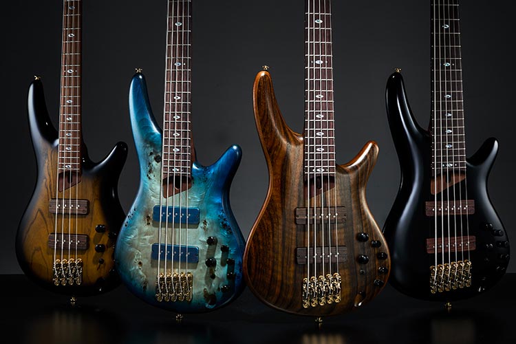 www.ibanez.com