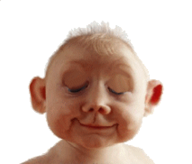 g.193496.56877.4031371723.gif