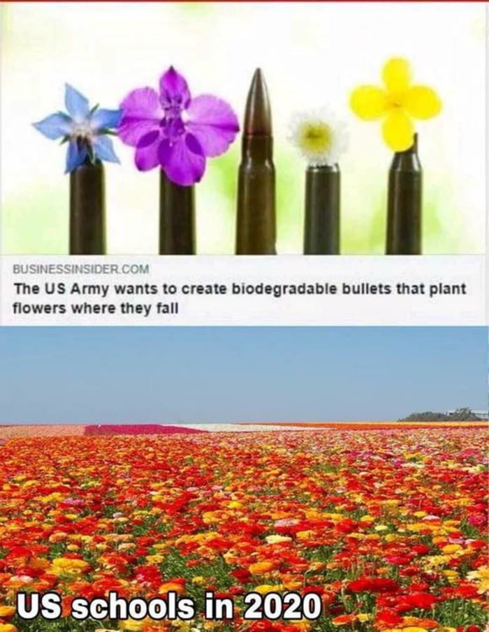 aE2wNeK_700b.jpg
