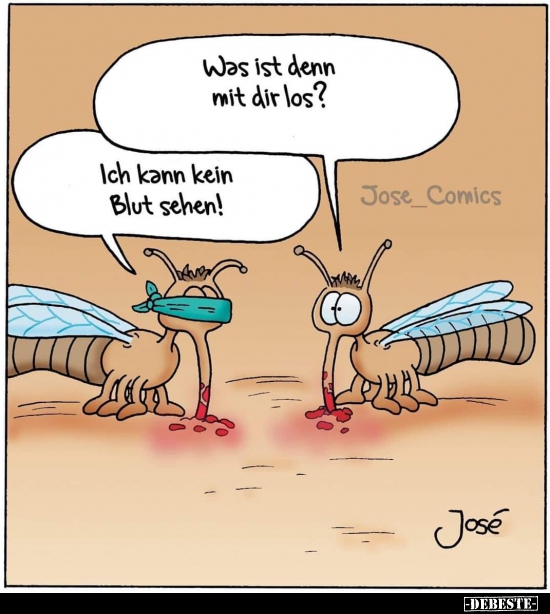 18 lustige Bilder von Muecken in 2020 | Lustig