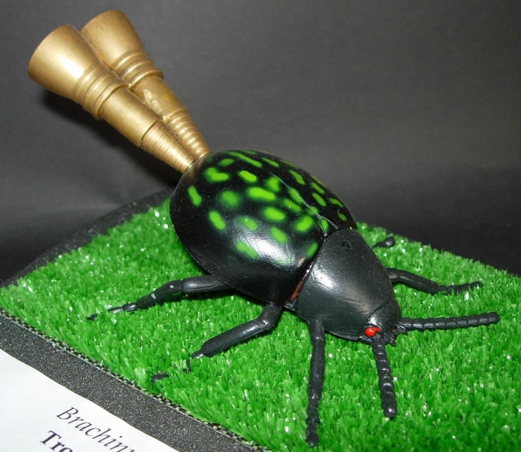 DSCN5543.JPG