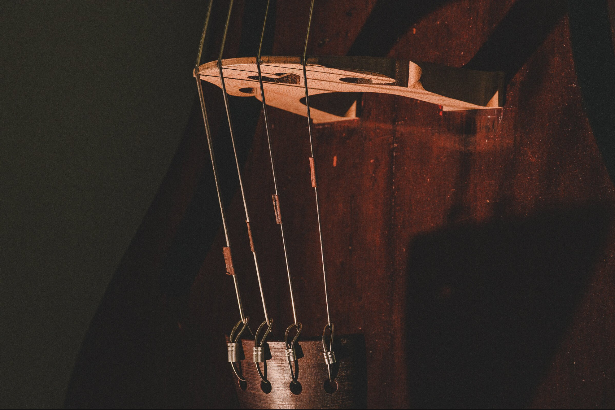 www.tempera-strings.com