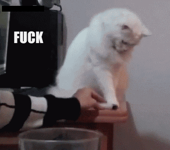 funny-cat-pushing-things-off-table-fuck-this-animated-gif-pics.gif