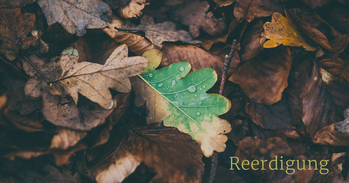www.reerdigung.de