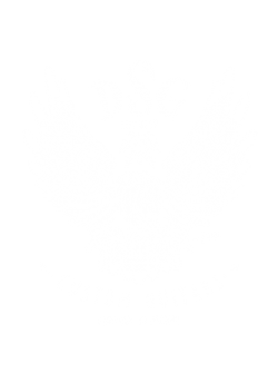 dsg-customguitars.de