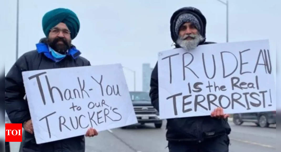 timesofindia.indiatimes.com